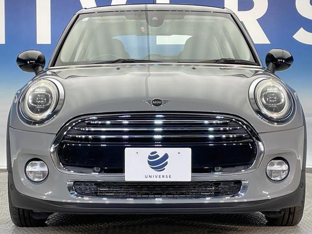21236654_carP_l_8.jpg