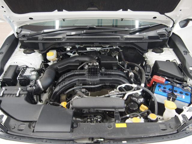 6326077_carP_l_17.jpg
