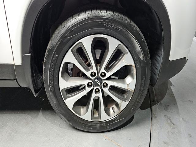 ae9b417879ec490f5cbaa6339b887b21.jpeg