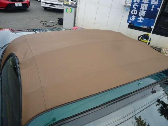 11998928_carP_l_2.jpg