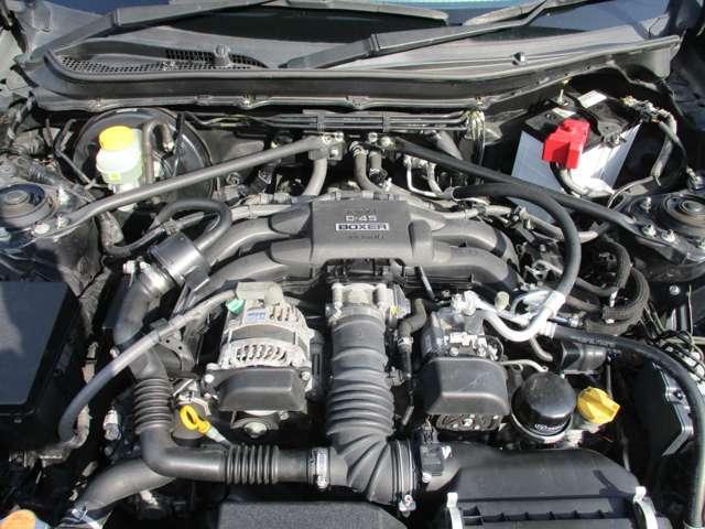 22782518_carP_l_18.jpg