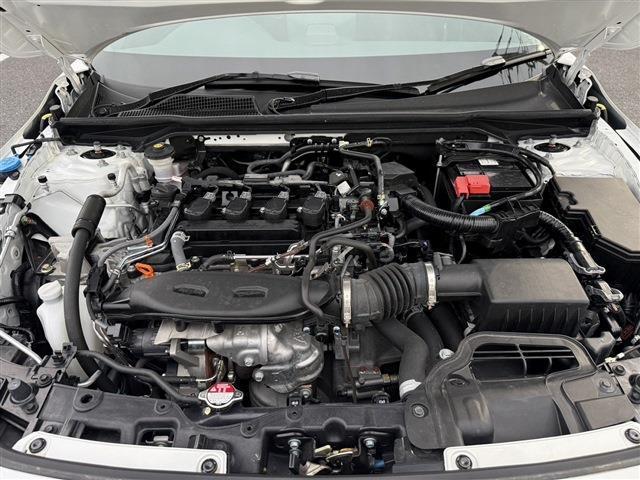 23257161_carP_l_18.jpg
