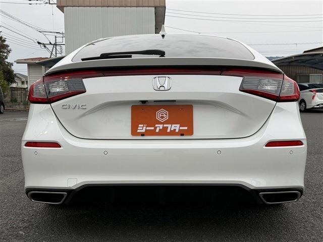 23257161_carP_l_19.jpg