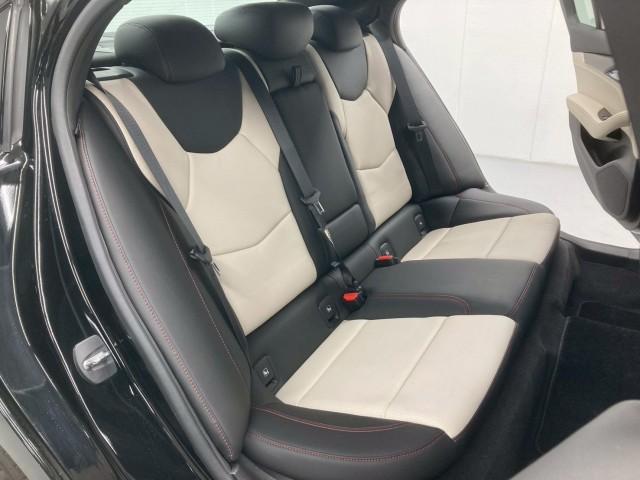 22995485_carP_l_10.jpg