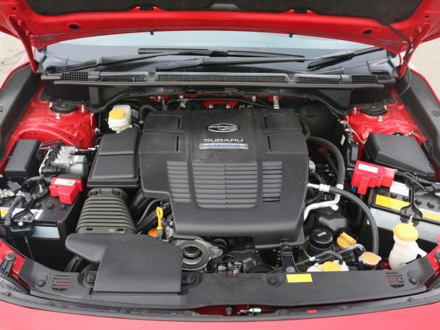 22081882_carP_l_17.jpg