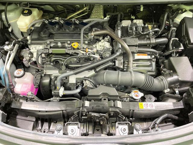 22563512_carP_l_18.jpg