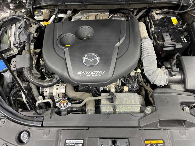 21928550_carP_l_11.jpg