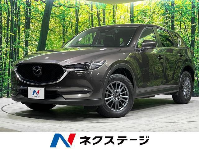 21928550_carP_l_1.jpg