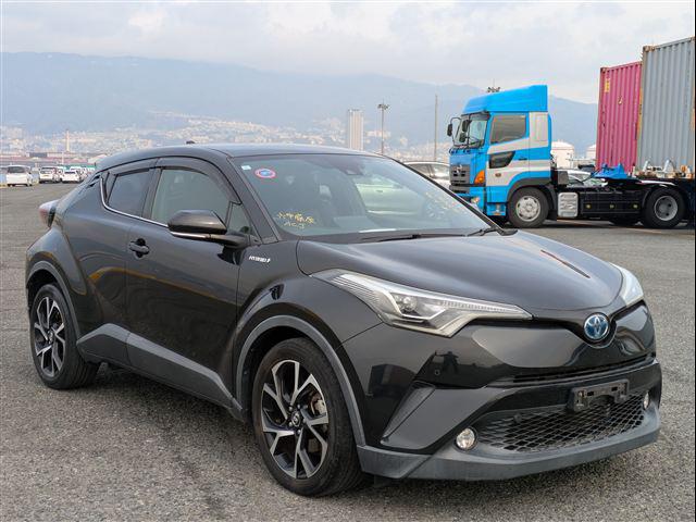 38.jpg