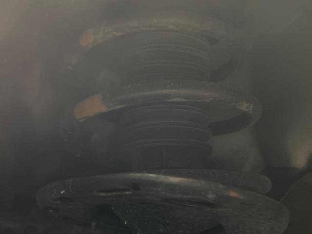 22429408_carP_l_20.jpg
