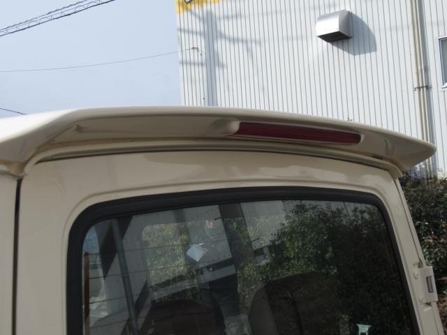 21966932_carP_l_20.jpg