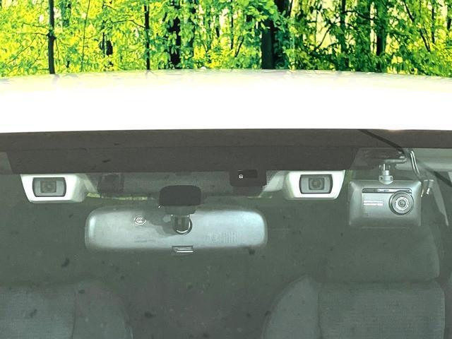 21726593_carP_l_15.jpg