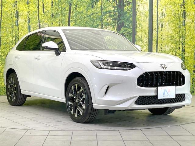 21689984_carP_l_9.jpg