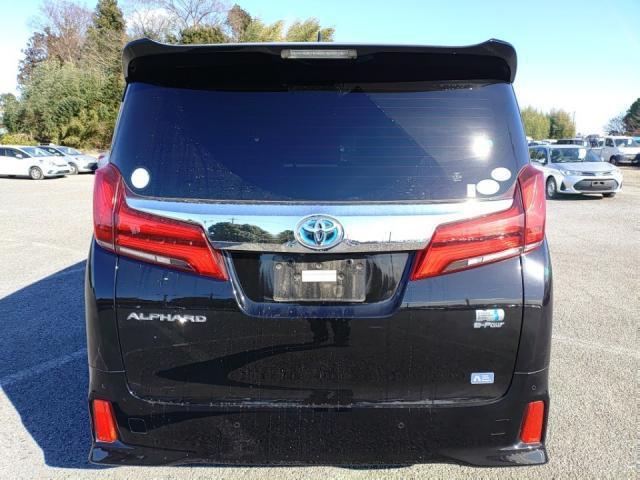 22003801_carP_l_10.jpg
