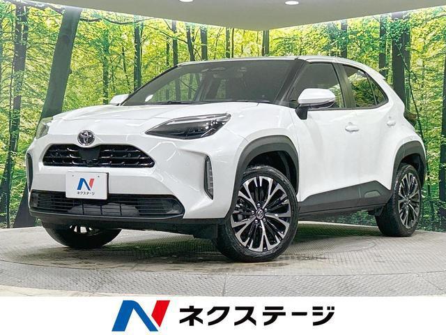 aa3d488626d99908d39dc7821b82e359.jpeg