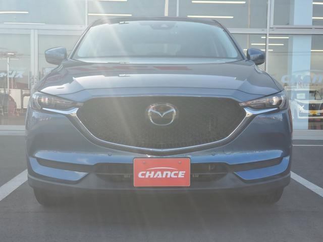 0520223A30251016W00203.jpg