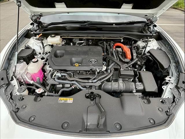 20171185_carP_l_20.jpg