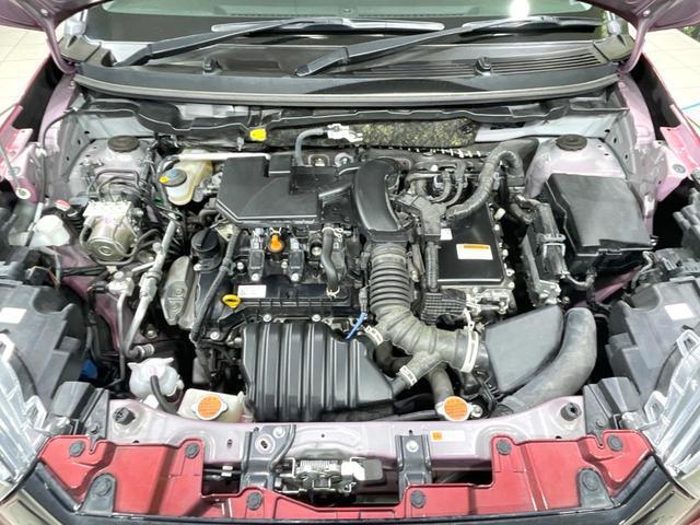 21654821_carP_l_16.jpg