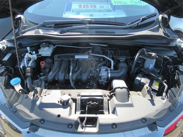 21676898_carP_l_20.jpg
