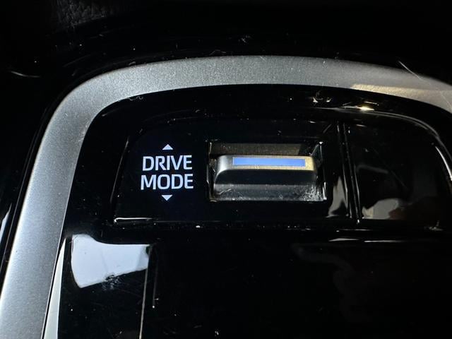 0209175A30250414W00111.jpg