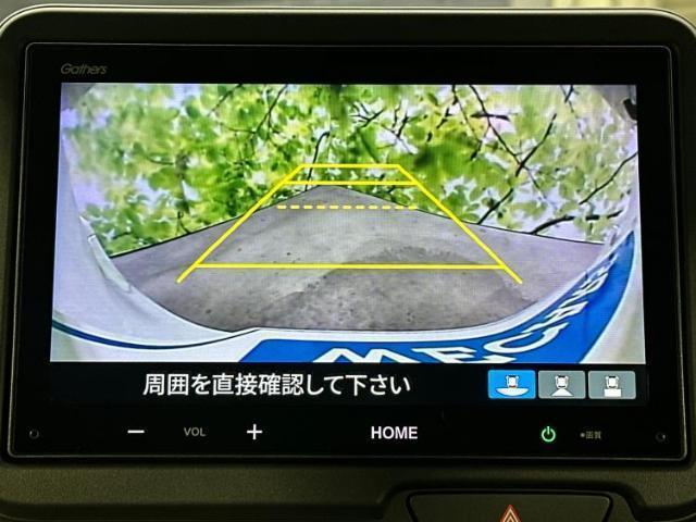 20803738_carP_l_2.jpg