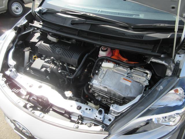 22582646_carP_l_20.jpg