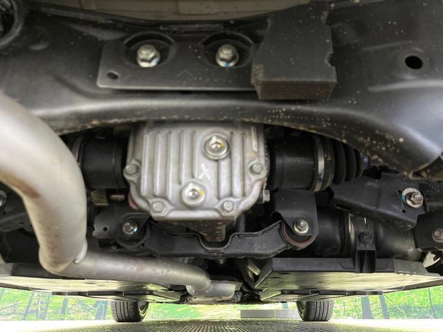 22058344_carP_l_18.jpg