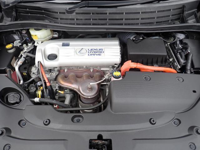 21914848_carP_l_17.jpg