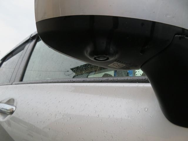 22869728_carP_l_9.jpg
