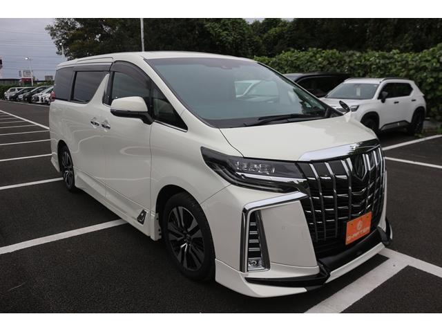 22713096_carP_l_1.jpg