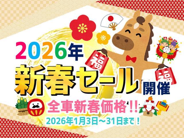 0300168A30260113W00501.jpg