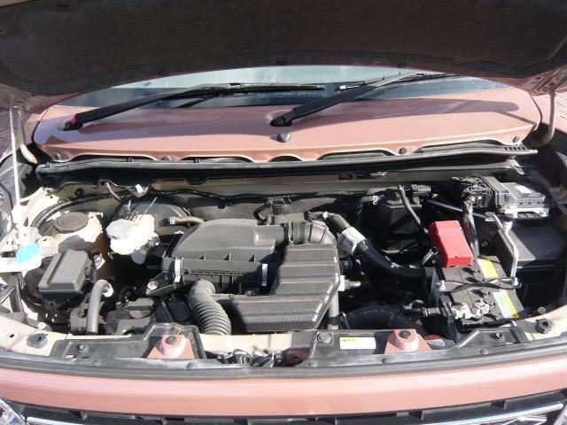 21543629_carP_l_5.jpg