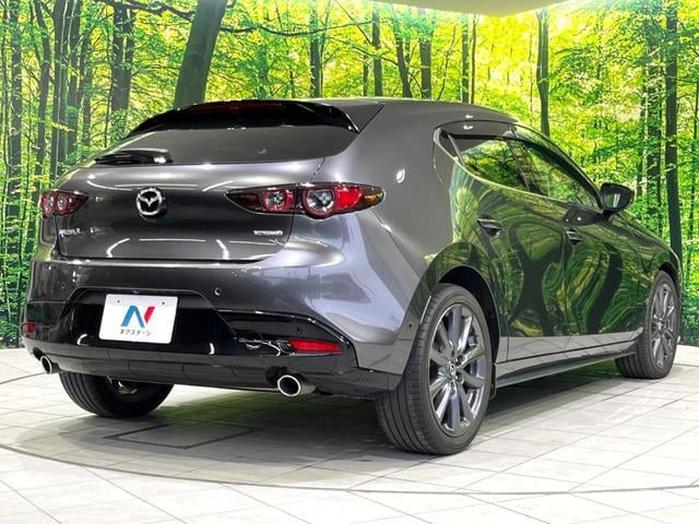 17832781_carP_l_11.jpg