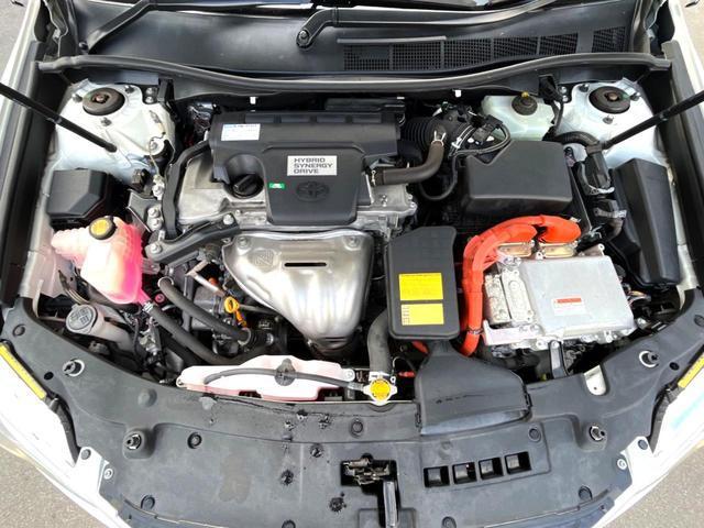 21096692_carP_l_16.jpg
