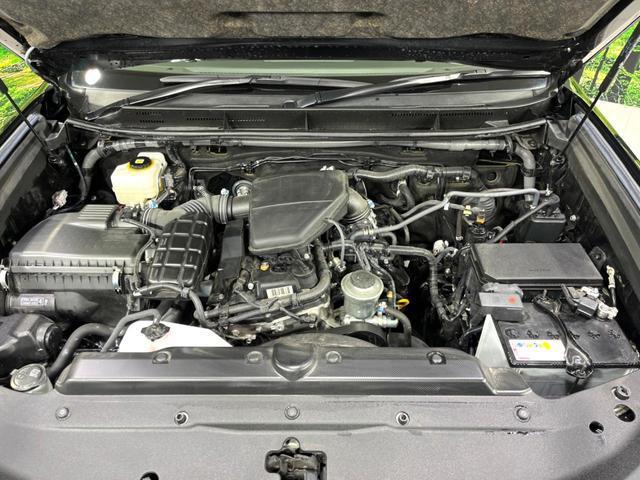 22526127_carP_l_18.jpg