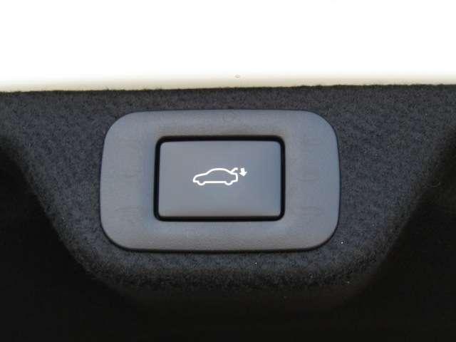 22302262_carP_l_9.jpg