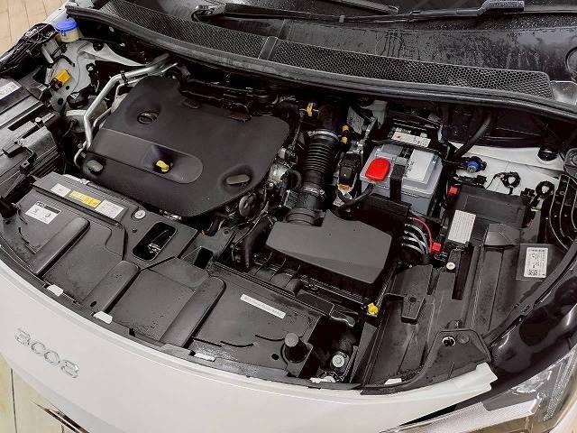 21056560_carP_l_11.jpg