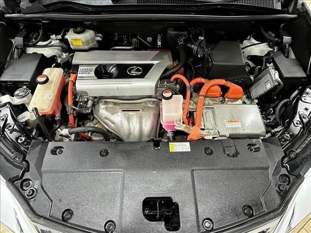 15674867_carP_l_8.jpg