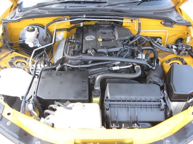 0804732A30250209W00116.jpg