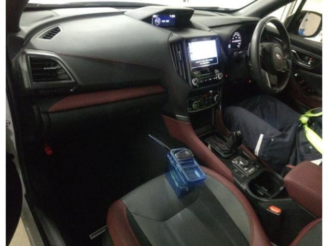 19307566_carP_l_15.jpg