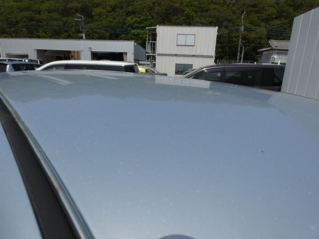 17524086_carP_l_19.jpg