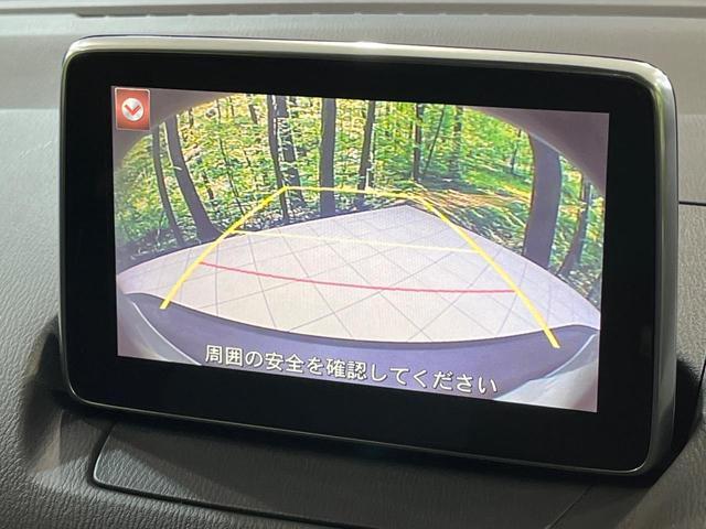 21149794_carP_l_13.jpg