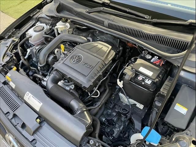 16736140_carP_l_6.jpg