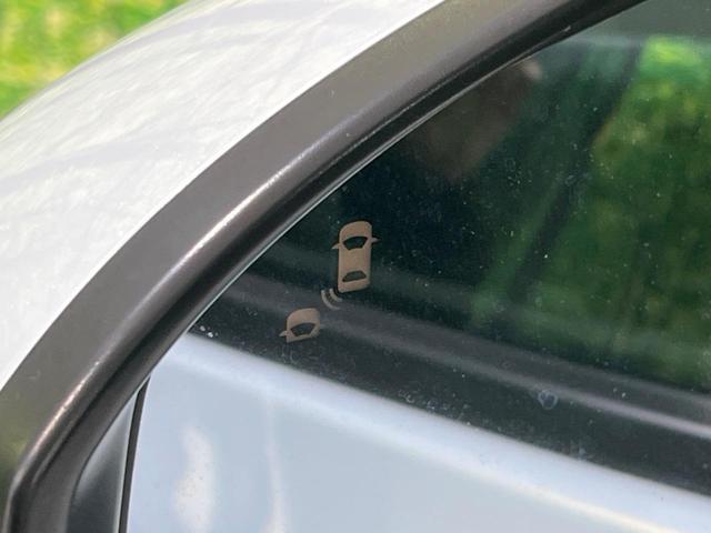 22779015_carP_l_14.jpg