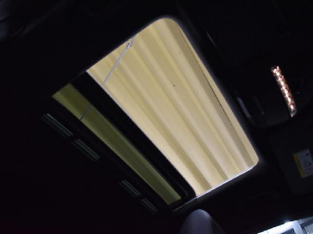 21188228_carP_l_10.jpg
