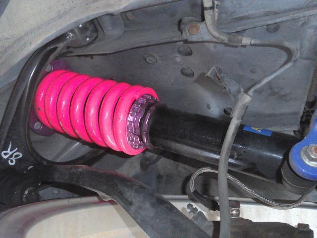 15859190_carP_l_8.jpg