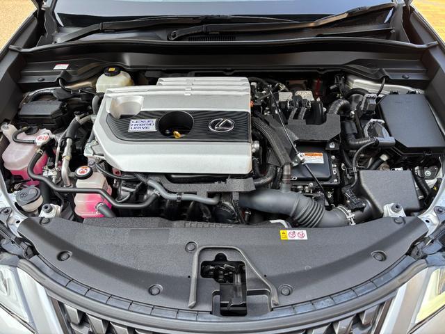 22718615_carP_l_16.jpg