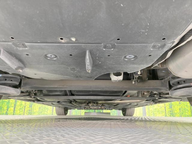21654550_carP_l_18.jpg