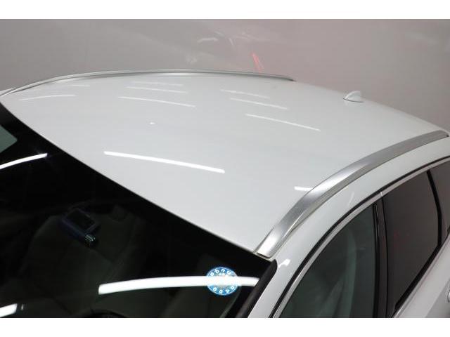 22613559_carP_l_12.jpg