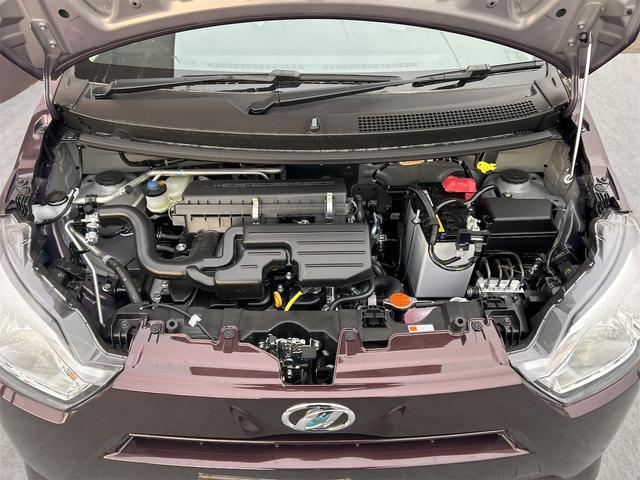 0302564A30241120W00518.jpg